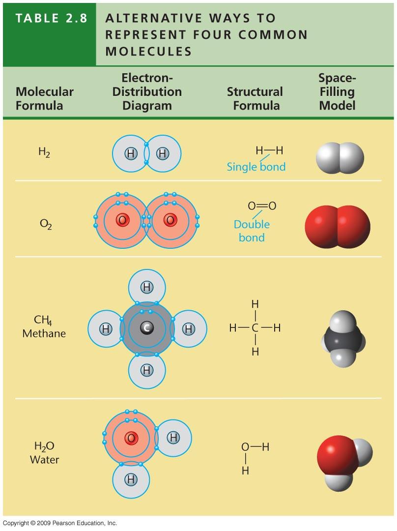 - formed when atoms are held together by covalent bonds Fig. 2.