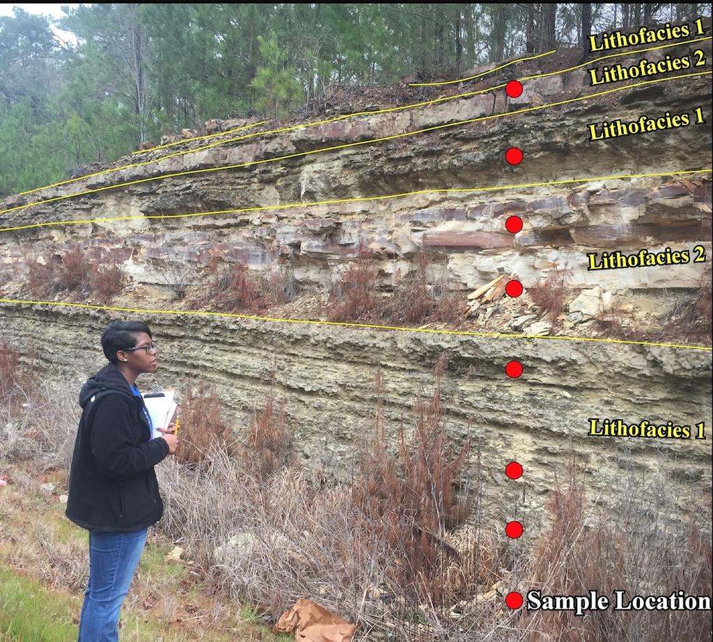 Conclusion 3: Rhythmic Sedimentation The alternation of silt and clay rich layers with ash rich beds suggests