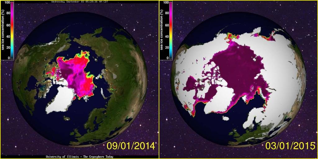 Impact of Snow Cover Trends The timing of Arctic spring snow melt is climatologically significant because the low albedo of snow-free ground is coupled with increasing solar radiation during the