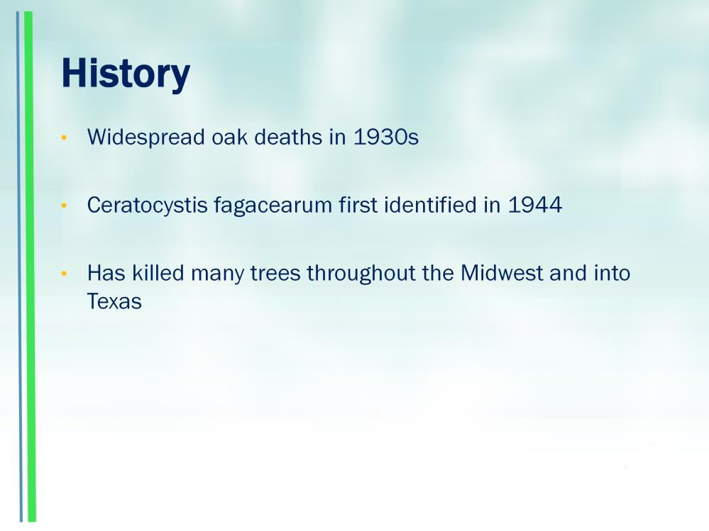 Widespread oak deaths in 1930s C. fagacearum first identified in 1944.