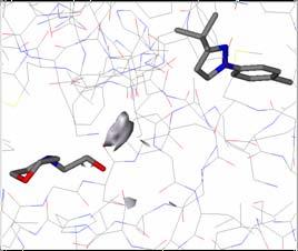 De novo design: Scaffold hopping physicochemical description Hydrophobic H-bond donor H-bond acceptor
