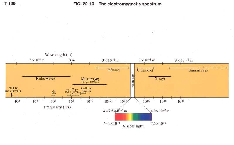 λ M spectrum f c = fλ c speed of light (m/s) f frequency (Hz=/s) λ wavelength (m) /5/ Lecture XXIV 9 Radiation from an AC antenna Changing electric field creates magnetic field Changing magnetic