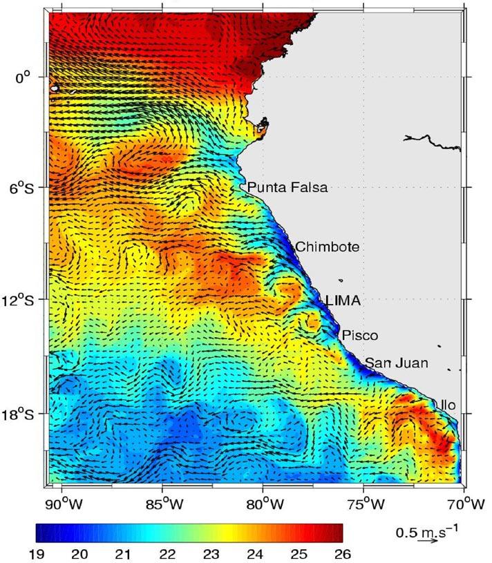 Hypothesis: Cold water is transported offshore by oceanic eddies Regional Ocean Model Simulation Mesoscale eddies form in the coastal upwelling region of cold water and propagate westward.
