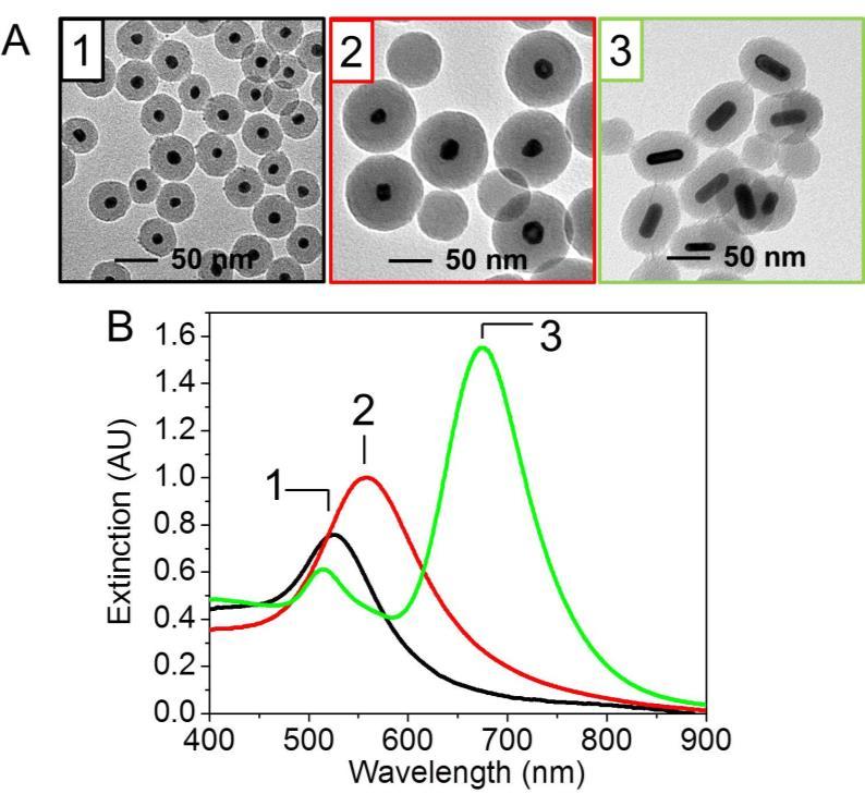 6.3 Results and Discussion 6.3.1 LSPR Tuning of Silica Coated Nanoparticles SERS takes advantage of the LSPR and increases the normal Raman signal by 2 to 9 orders of magnitude, thereby, facilitating