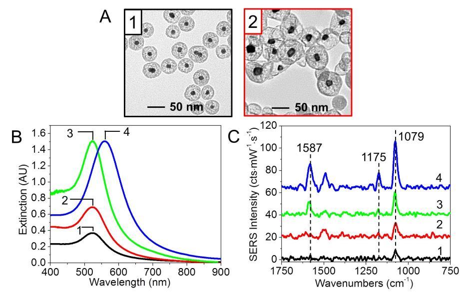 Figure 6.2. (A) TEM images of IE (1) Au@SiO 2 and (2) Ag@Au@SiO 2 nanoparticles. TEM analysis reveal that the average nanoparticle diameters are: (1) 44.6 ± 3.5 nm and (2) 69.6 ± 3.4 nm, with core diameters of (1) 12.