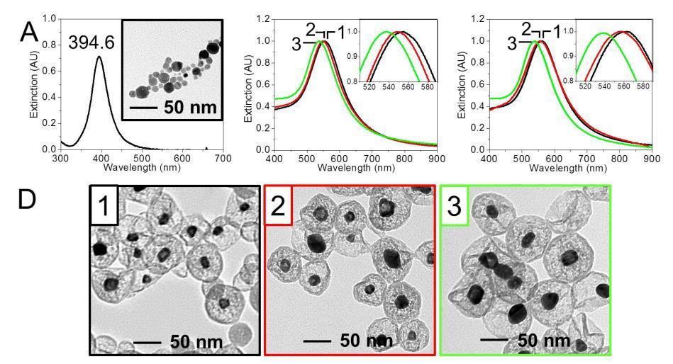 Figure 6.3. LSPR and TEM analysis of IE Au@SiO 2 nanoparticles. (A) Extinction spectrum of Ag nanoparticles used in synthesis of IE Ag@Au@SiO 2 nanoparticles. Ag nanoparticles show λ max of 394.