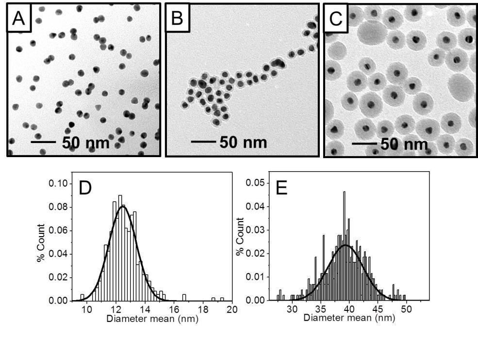 expected for solution-phase nanoparticles synthesized using homogeneous nucleation and growth techniques. 37-39 Small heterogeneity in gold nanoparticle will influence the Figure 2.1.