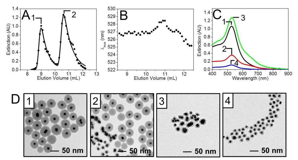 Figure 2.5. (A) SEC chromatogram of a mixture of Au@SiO 2 nanoparticles with average diameters (1) 54.4 ± 5.8 (10 %RSD) and (2) 27.0 ± 4.6 (11 %RSD). Nanoparticle samples elute at 8.9 and 10.
