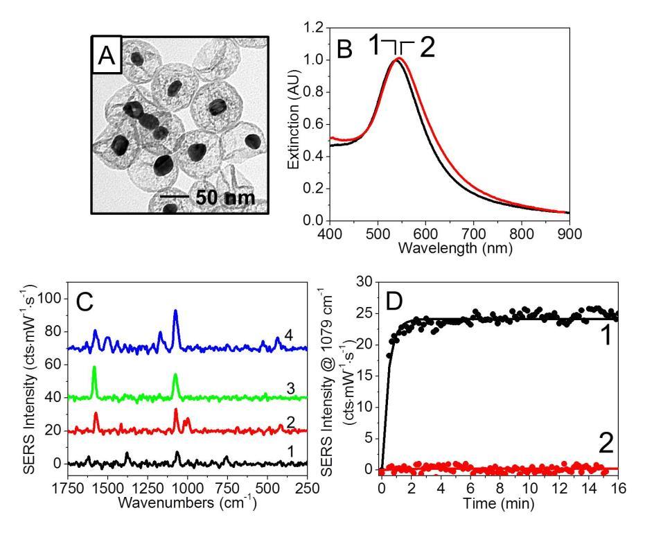 Figure 3.1. (A) TEM image of IE Ag@Au@SiO 2 nanoparticles. Ag@Au core and IE Ag@Au@SiO 2 nanoparticle average diameters are 26.0 ± 5.4 nm and 76.9 ± 7.7 nm.