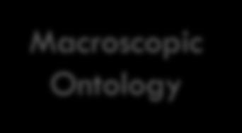 Macroscopic Ontology Experience