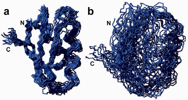 Supplementary Figure 8 The contribution of long-range NOEs involving methyl groups to the structure calculation of TTHA78 in living E. coli cells.