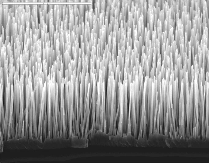 Numerical illustration ZnO nanowires Collection of ZnO: Close up Uncertainties in ZnO NWs in the close up view.
