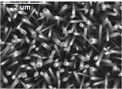 Numerical illustration ZnO nanowires ZnO nanowires (a) The SEM image of
