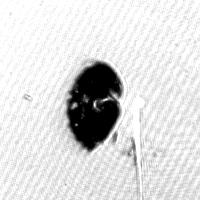 To expand the microdroplet, the intensity of the Nd:YAG laser is required at least 3 x 10 11 W/cm 2. Side-on shadowgraph of expanded droplet at 500 ns 5.