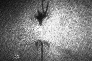 irradiation Nd:YAG Laser Beam (Spot size 40 µm)