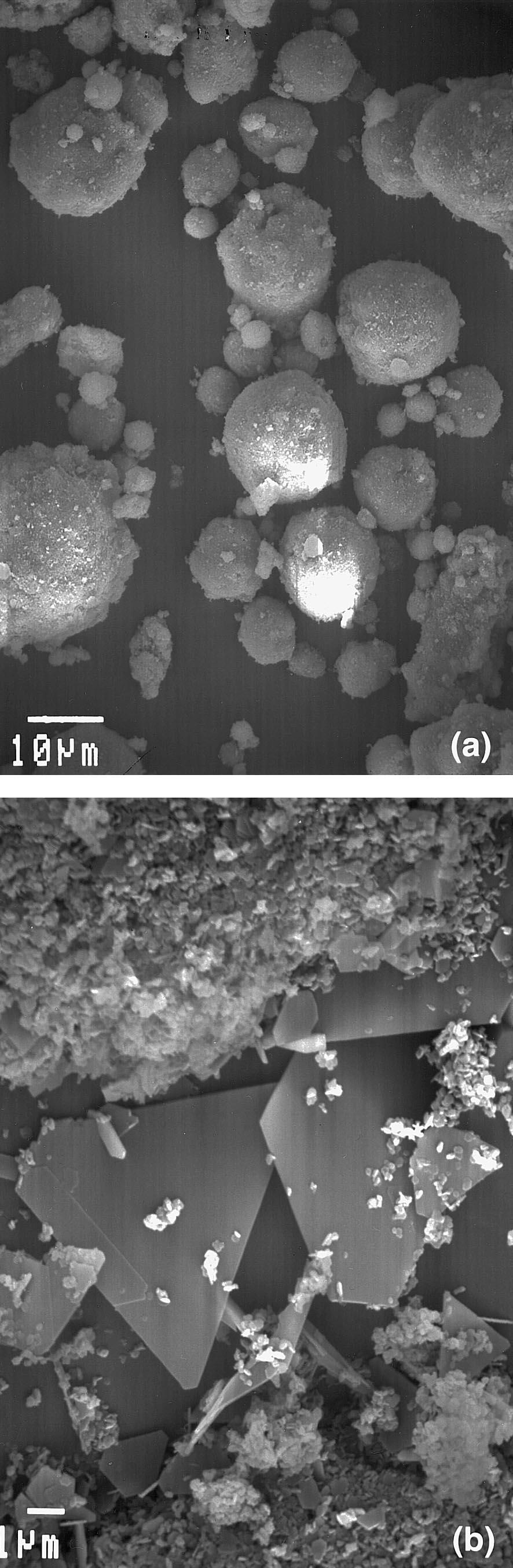 488 P. J. Saccocia, J. S. Seewald, and W. C. Shanks III erned primarily by dissolution-recrystallization, rather than volume diffusion.