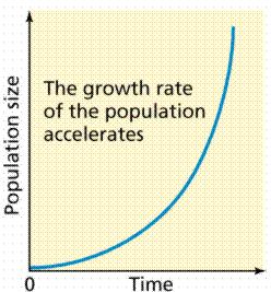 How Populations Grow Population Growth Curves: Exponential