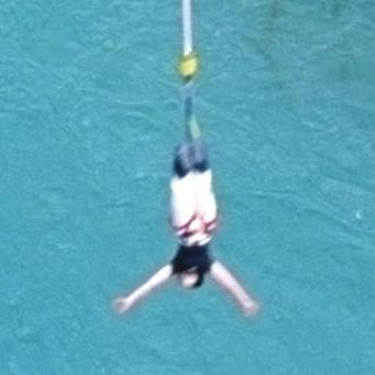 equation d2 x dt 2 9.8 0.14kx, where k is an elasticity constant for the bungee cord and k > 0.