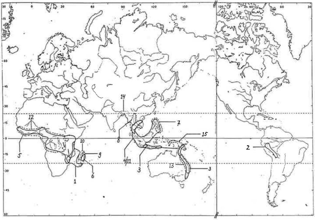 98 FERN GAZETTE: VOLUME 14 PART 3 (1992) Figure. Global geographical distribution of Platycerium species descriptions by Hennipman & Roos (1982). 1.. P. alcicorne 2. P. andinum 3. P. bifurcatum 4. P. coronarium 5.