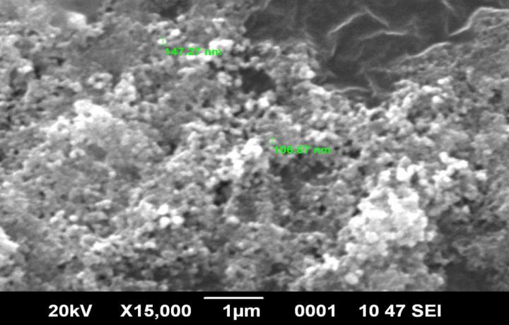850 3.2. Scanning Electron Microscopy-Energy Dispersive Spectroscopy (SEM) Biogenic silver nanoparticles as polycrystalline structure were revealed as shown in Fig.3. From SEM result, it has shown the agglomerates of biogenic silver nanoparticles.