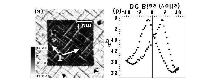 10 FIGURES: Figure 1: (a) 4µm x 4µm piezoresponse scan of the 4000Å thick PbZr 0.2 Ti 0.8 O 3 film. a- domains are identified by the letter T in the image.