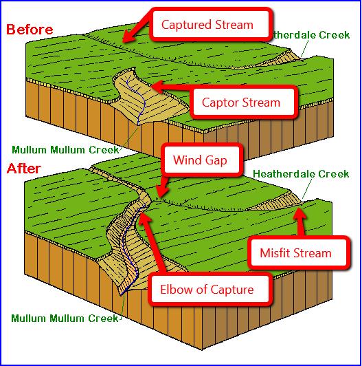 Before Capture After Capture River Capture/Stream Piracy It occurs when one river cuts through the watershed and intercepts another river robbing it of its headwaters.