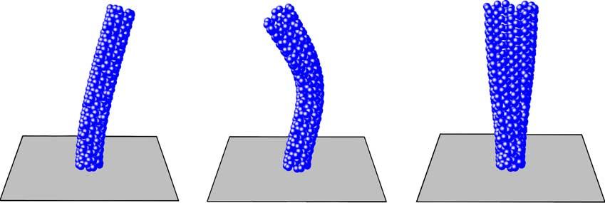 1862 B. Liu et al. / Comput. Methods Appl. Mech. Engrg. 193 (2004) 1849 1864 Fig. 10. The first three vibration modes of a ð5; 5Þ armchair carbon nanotube with 400 atoms and one end clamped.