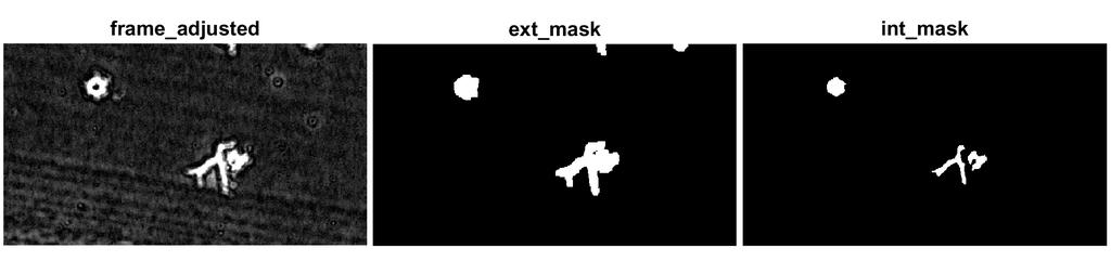 Watershed transform Normalise contrast (1% saturated at high and low intensities) Get external mask (by