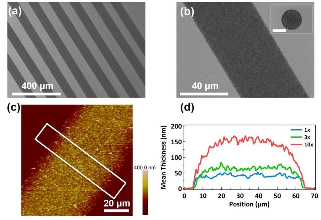 72 Figure 2.5. Morphology of inkjet-printed graphene features on HMDS-treated Si/SiO2.