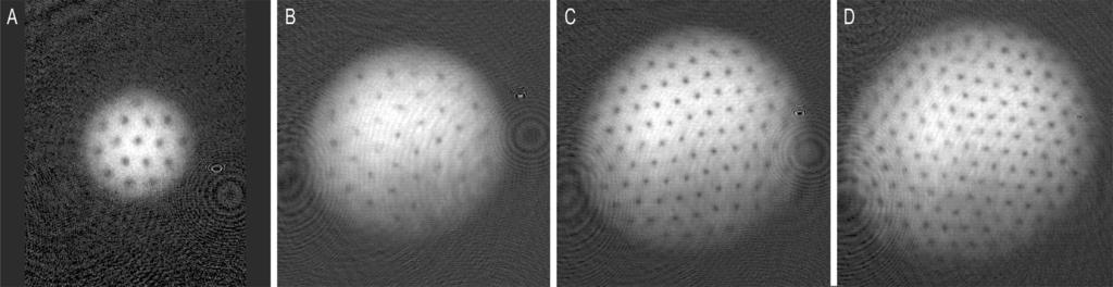 Observation of quantized vortices in rotating ultracold Na J. R. Abo-Shaeer, C. Raman, J. M.