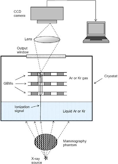 Motivation: cryogenic two-phase detectors for medical applications LXe GEM-based two-phase Xe or Kr avalanche detector for PET - Solving parallax problem -Superior