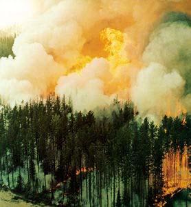 Forest fire The resulting loss and degradation of forested land is roughly equal to that caused by destructive logging and conversion to agriculture