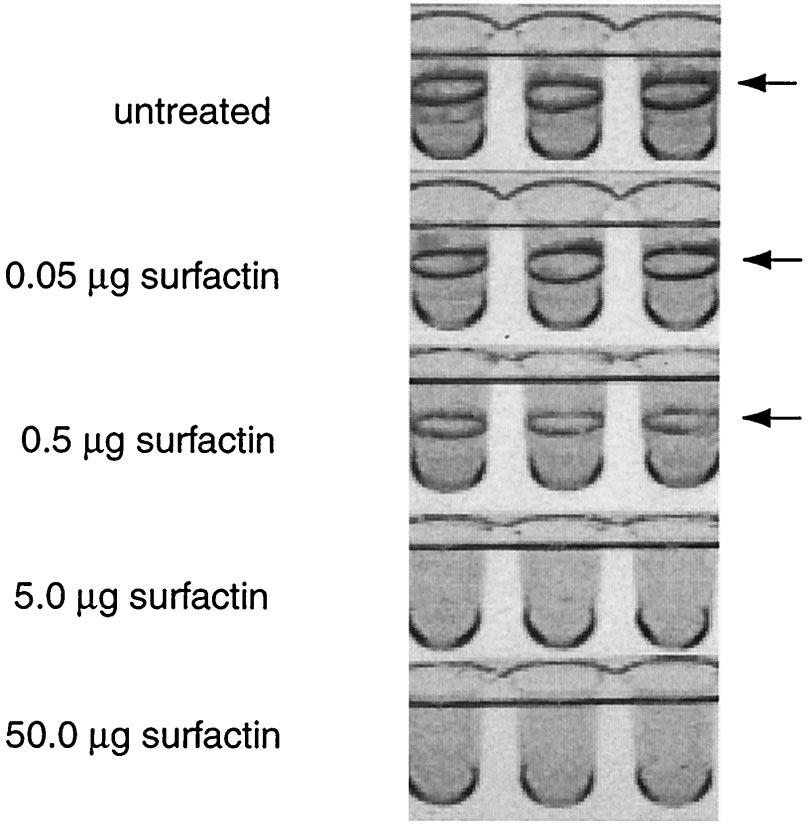 Downloaded from http://jb.asm.org/ FIG. 2. Biofilm formation by S. enterica swarming mutants. Growth conditions were as described in the legend to Fig. 1.