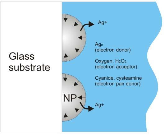 Blueshift of the silver plasmon band using controlled nanoparticle dissolution in aqueous solution. Klaus B. Mogensen * and Katrin Kneipp ** * Technical University of Denmark (DTU), Dept.