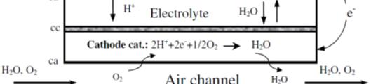 It is necessary to emphasize that, if in the calculation of the reversible voltage and the activation loss if the concentration values in the catalyst layer are used, the loss due to concentration