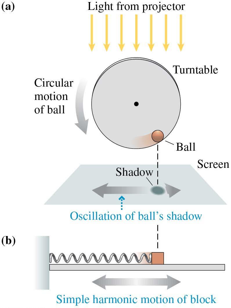 Simple Harmonic Motion and Circular Motion Figure (a) shows a shadow movie of a ball made by projecting a light past the ball and onto a screen.