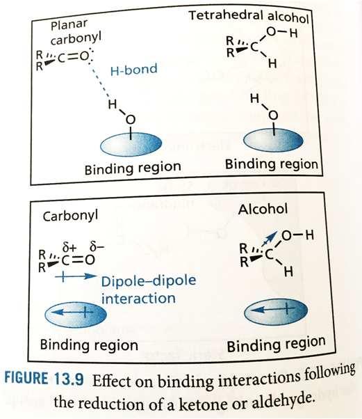 30/10/2016 Binding interactions of ketones and aldehydes The possibility that can form hydrogen bonding interactions with the binding site through the oxygen.