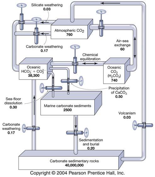Inorganic Carbon Cycle (Summary)
