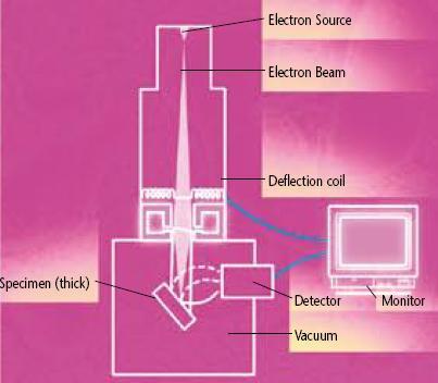 SEM A scanning electron microscope, like the TEM, consists of an electron optical column, a vacuum system and electronics.