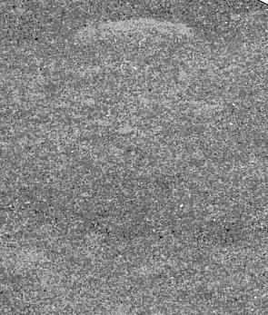 conventional BSEM images 3mm