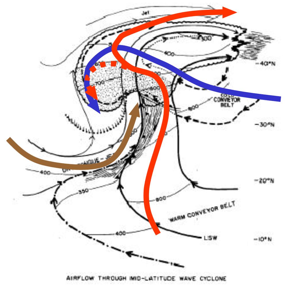 Major Conveyor Belts Conceptual model of airflow through an extratropical cyclone depicting the different conveyor belts from Carlson (1980) and the new revamped conveyor belt model overlaying on top