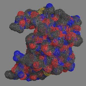 Part II: Modeling and Analysis of Proteins Snapshots of a protein: Crystallography Numerical methods of protein motion: Molecular