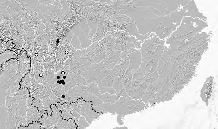1240 (ASSING 1999a, 2003a). The above records suggest that O. lubricus is rather widespread and not uncommon in eastern Yunnan.