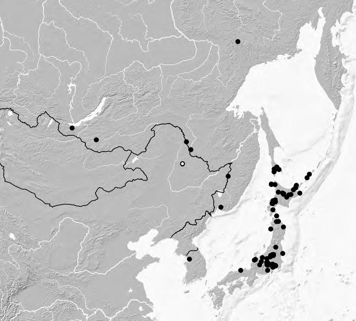 1241 Map 4: Distribution of Othius rosti in the East Palaearctic region, based on examined records (black circles) and one literature record (white circle).