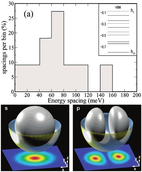 hole relaxation was then attributed by the authors to the opening of a gap in the excitonic manifold between an absorbing state E U (1 and an emitting state E L (1.