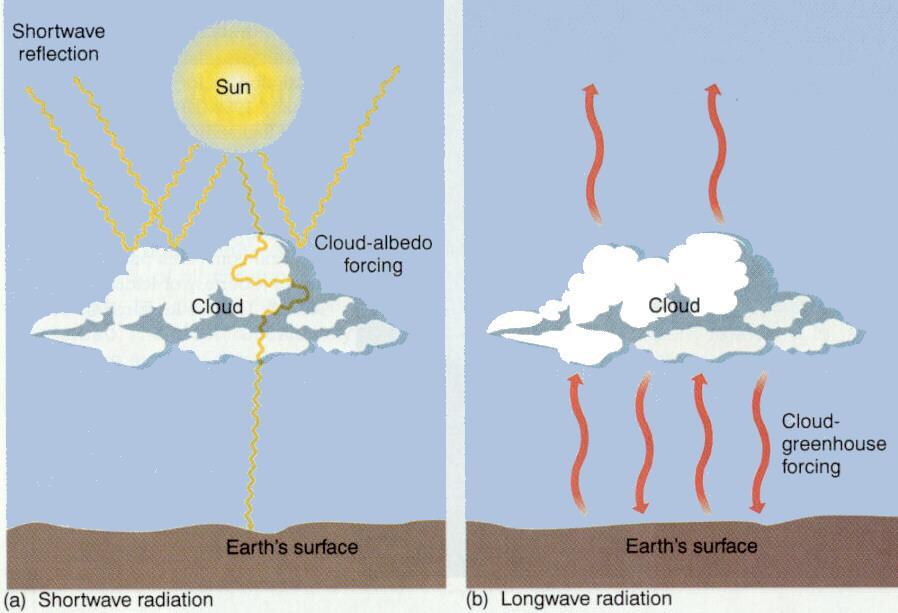 Clouds Impacts on Solar & Terrestrial Radiation Cooler top