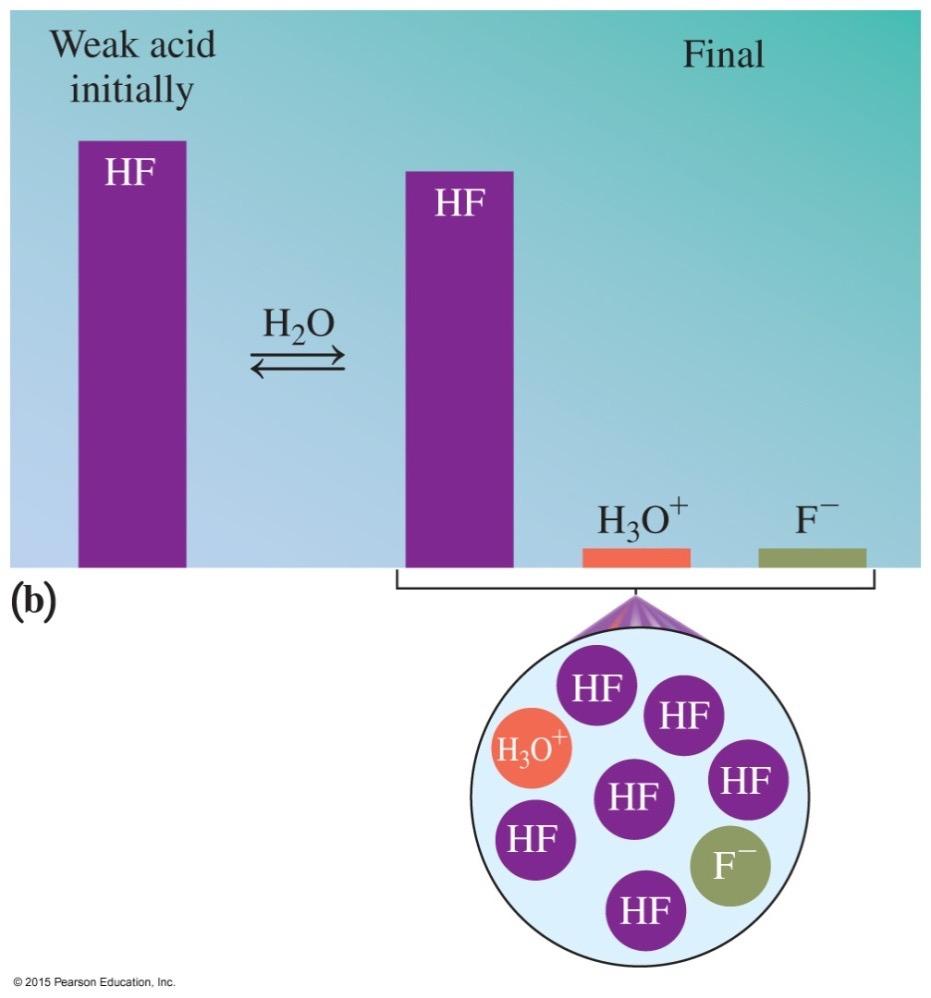 Acid Strength H 2 O HF(aq) H + (aq) + Weak acids dissolve in water, but remain mostly an associated pair of ions. F - (aq) They produce low concentra'ons of H + 30 Acids are electrolytes.