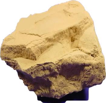COMMON DETRITAL SEDIMENTARY ROCKS Siltstone is lithified silt.