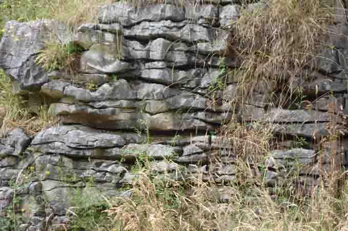 sedimentary rocks.