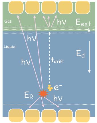 2-phase LXe-experiments principles of LXe 2-phase-detectors: - scintillation light: detection via PMTs in LXe - ionisation signal: drift of electrons in E-field to Xe gas phase gas anode LXe S1 E R